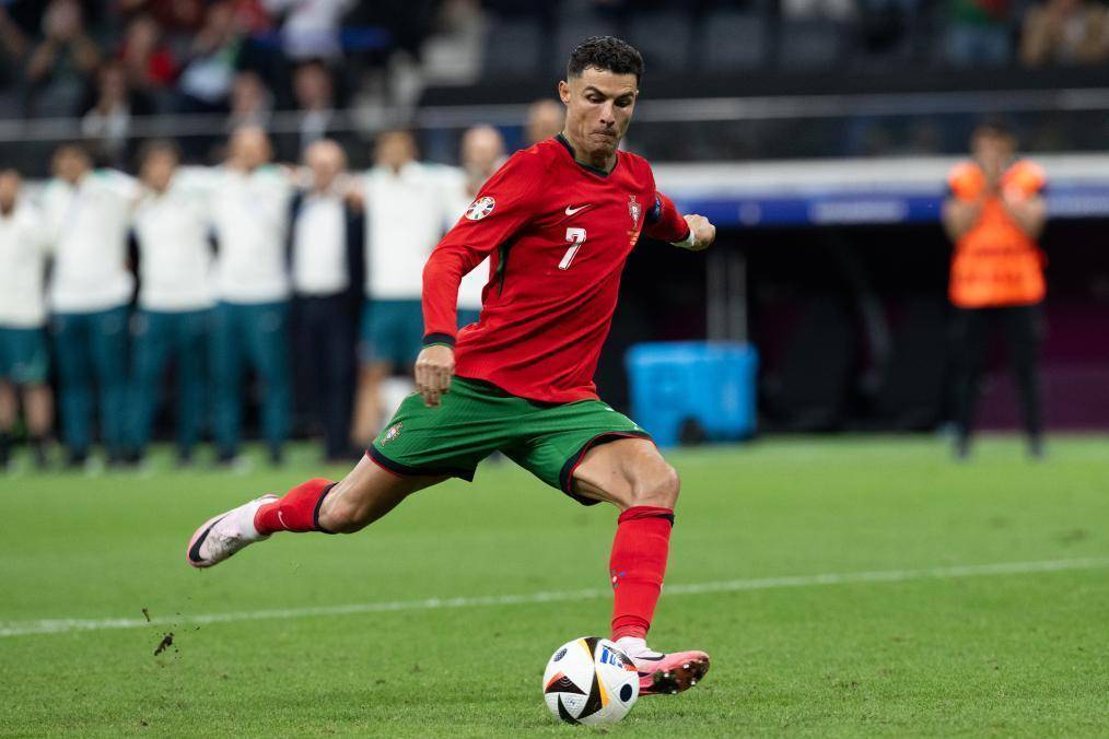 与披萨菠萝 与披萨菠萝